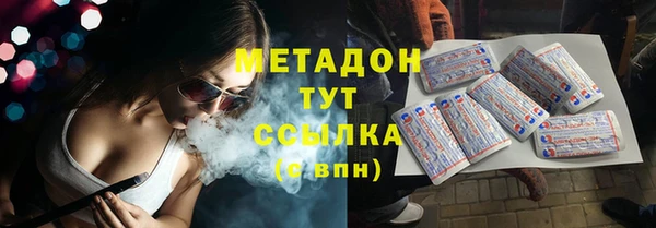 прущие грибы Магадан