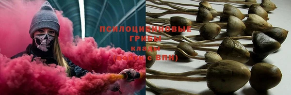 apvp Магас