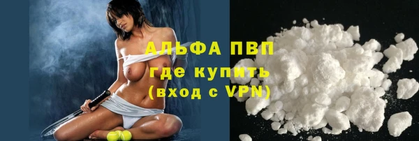 прущие грибы Магадан