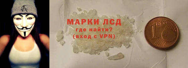 прущие грибы Магадан