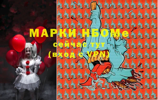 прущие грибы Магадан